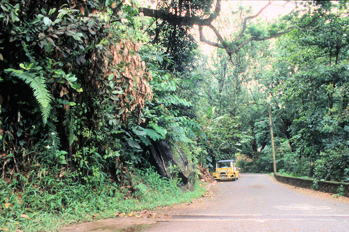 Seychellen 1999-054.jpg